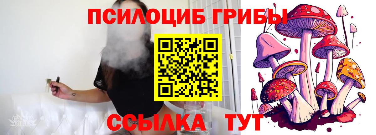 Псилоцибиновые грибы мицелий  как найти   Вход с VPN  Соликамск  Псилоцибиновые грибы ЛСД 